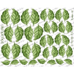Pannello P-small-67 foglioline