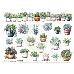 Carta Riso RIS-022 CACTUS