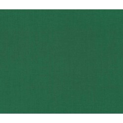 S12-887 Verde Bandiera