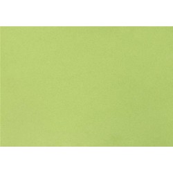 FOMMY LISCIO 2 MM COL....