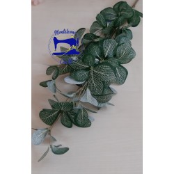 Botanica Dossinia Salvia